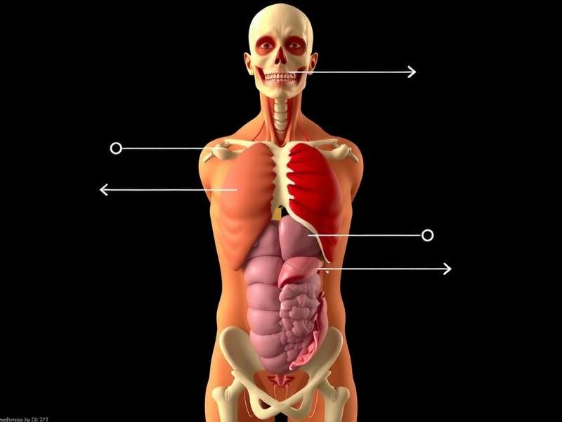 Diagram showing how different GeoGuessr clues connect to form a location hypothesis
